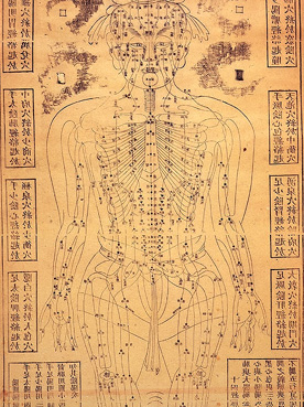 276x369 Acupuncture - Acupuncture Drawing