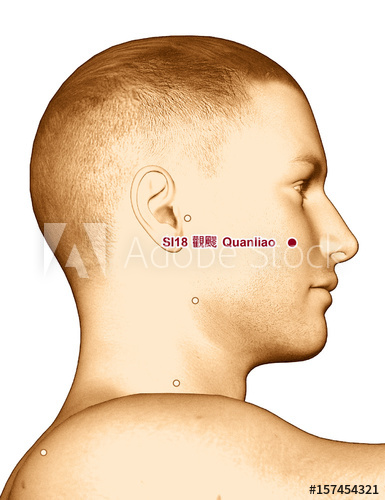 385x500 Drawing Acupuncture Point Quanliao, Illustration - Acupuncture Drawing
