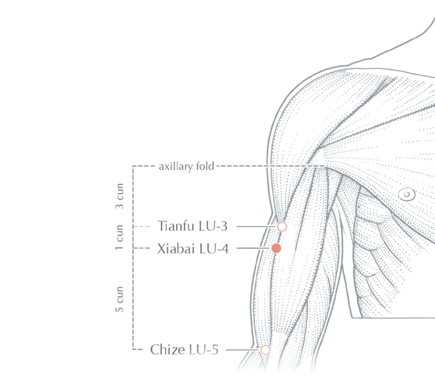 Acupuncture Drawing At PaintingValley.com | Explore Collection Of ...