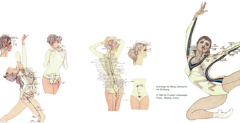 1024x525 what is acupuncture healing spring acupuncture center - Acupuncture Drawing