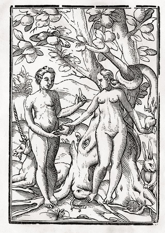 638x900 adam and eve in the garden of eden from drawing - Adam And Eve Drawing