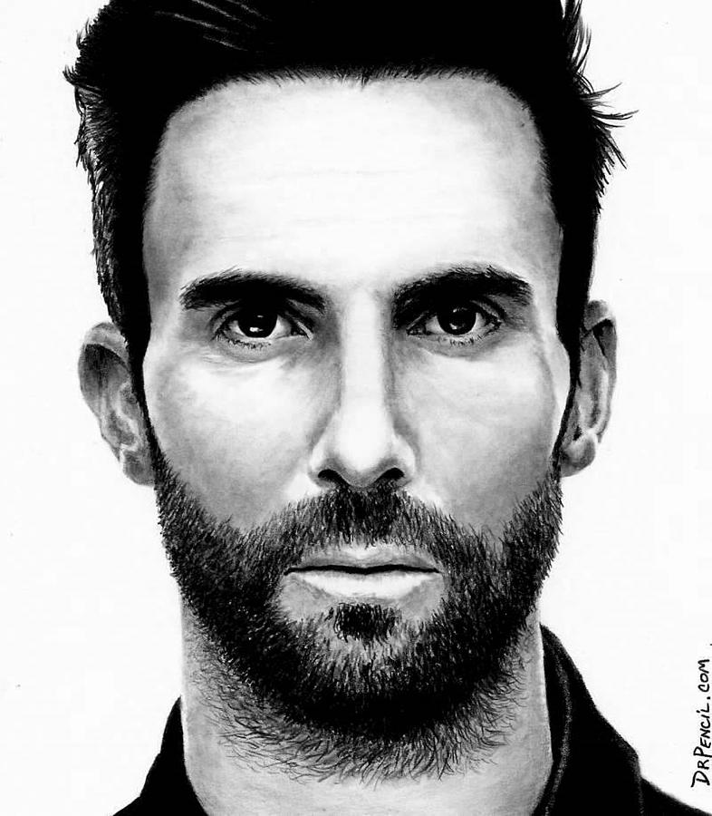 786x900 Adam Levine Drawing - Adam Levine Drawing