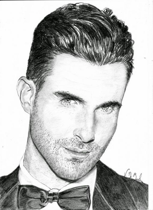 509x700 Adam Levine - Adam Levine Drawing