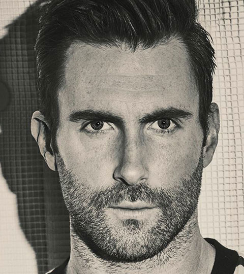 480x540 Adam Levine On The Tonight Show Starring Jimmy Fallon - Adam Levine Drawing