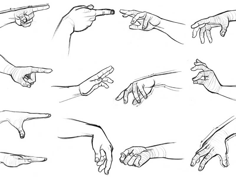 800x600 Hands And Objects Meadowedge Art - Adult Drawing