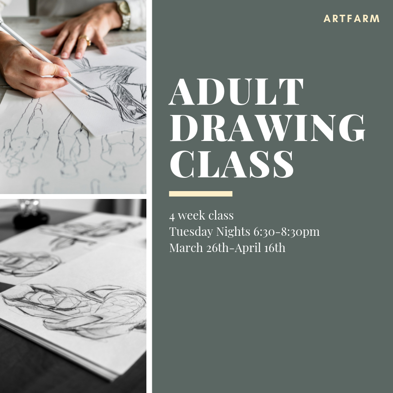 800x800 Adult Drawing Class - Adult Drawing