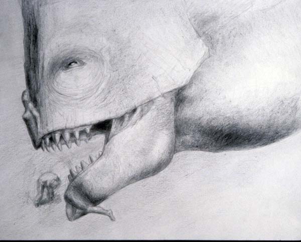 600x483 Advanced Drawing Seymour Simmons - Advance Drawing