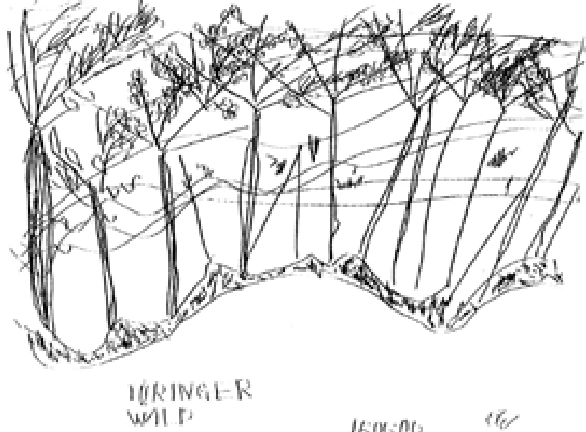 586x432 Advent Wreath With Vertical Candles - Advent Drawing