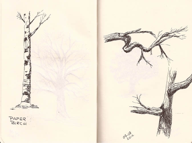 673x502 A New Sketching Adventure Drawing Trees Larry D Marshall - Adventure Drawing