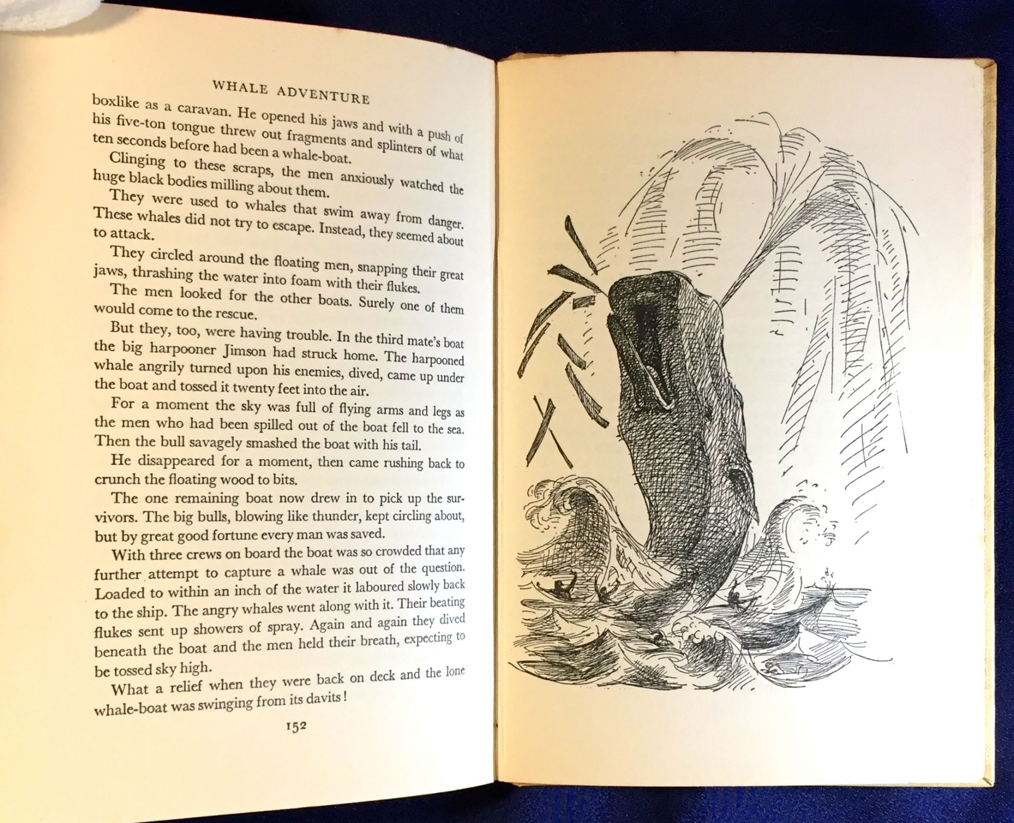 2000x1624 Whale Adventure Illustrated From Drawings - Adventure Drawing