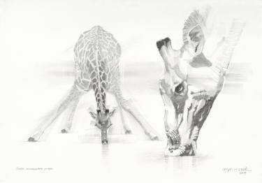 375x262 Original Pencil Drawings From South Africa Saatchi Art - Africa Drawing