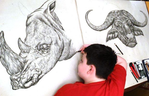 620x400 boy draws incredible african animals from his memory! - African Animal Drawings