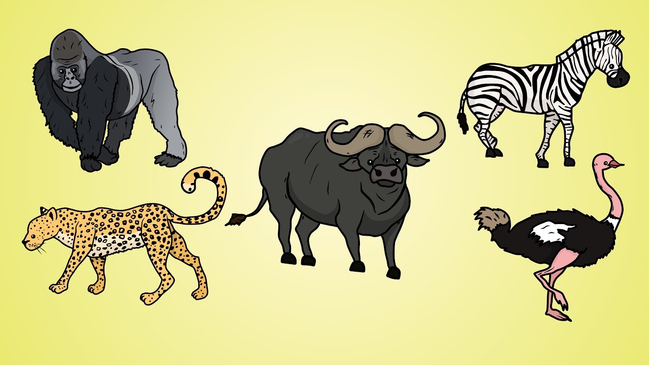 Amazing How To Draw African Animals Step By Step in the world The ultimate guide 