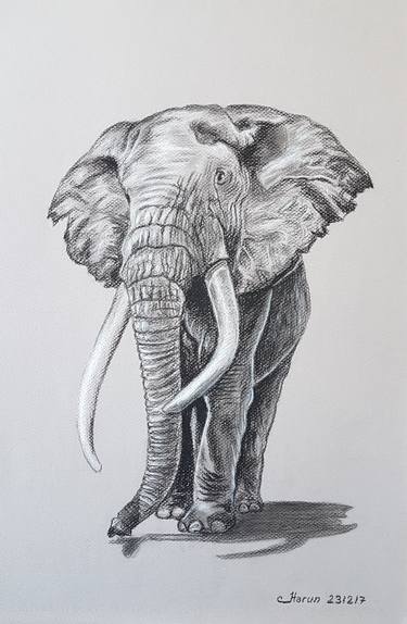 African Animal Drawings at PaintingValley.com | Explore collection of ...