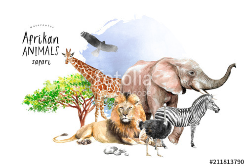500x338 watercolor illustration of african animals zebra, lion, ostrich - African Animal Drawings