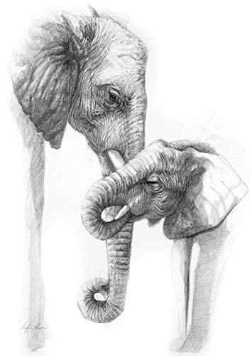 355x500 African Elephant Print From Original Drawing - African Elephant Drawing