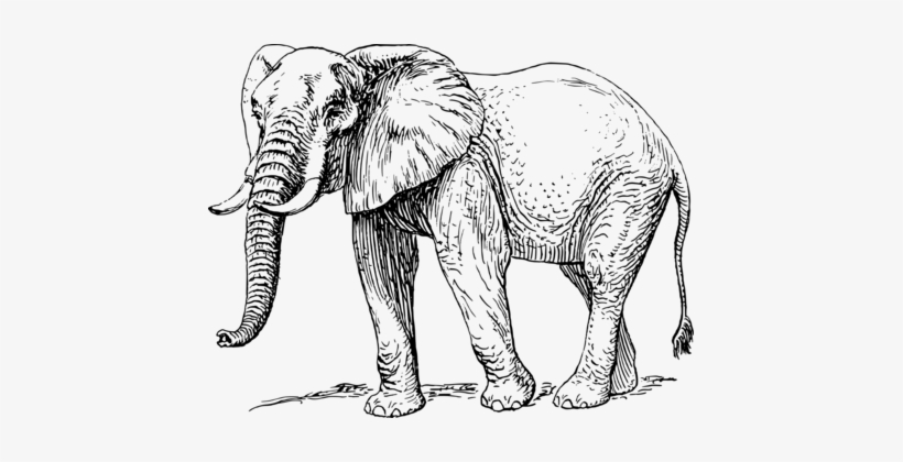 820x420 elephants black and white drawing african elephant - African Elephant Drawing