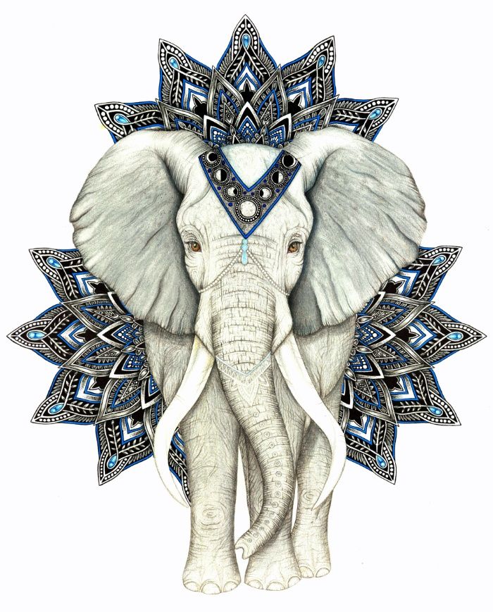 700x869 This Drawing Is An African Elephant With Zen Mandala Drawings - African Elephant Drawing