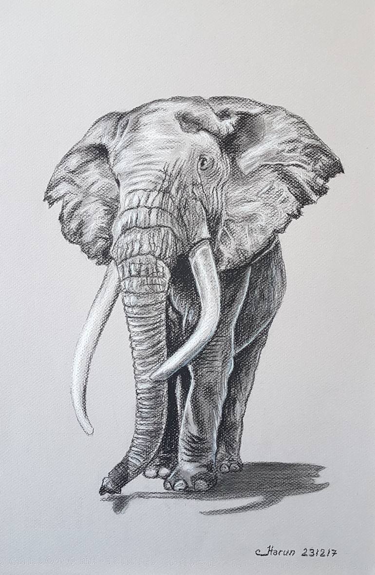 770x1179 African Elephant Drawing - African Elephant Drawing