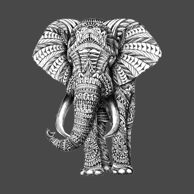 630x630 funny african elephant ivory drawing - African Elephant Drawing