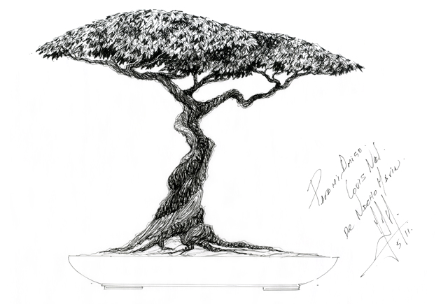 African Tree Drawing at PaintingValley.com | Explore collection of