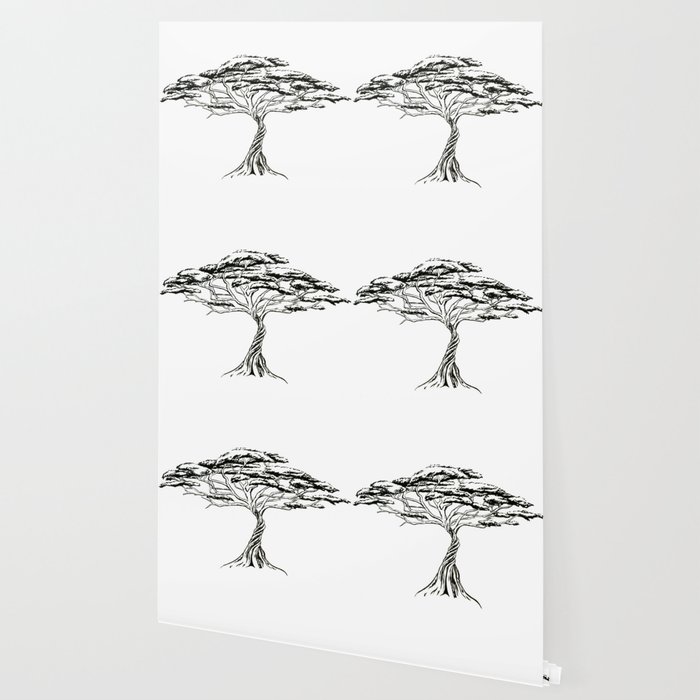 700x700 whistling thorn zen bonsai african tree wallpaper - African Tree Drawing