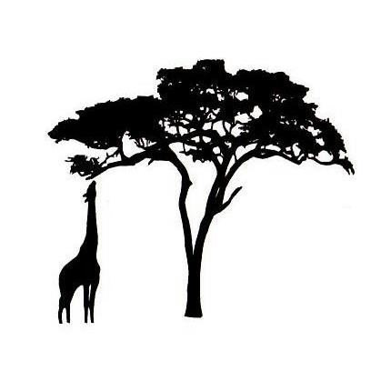 430x430 Africa Clipart Tree - African Tree Drawing