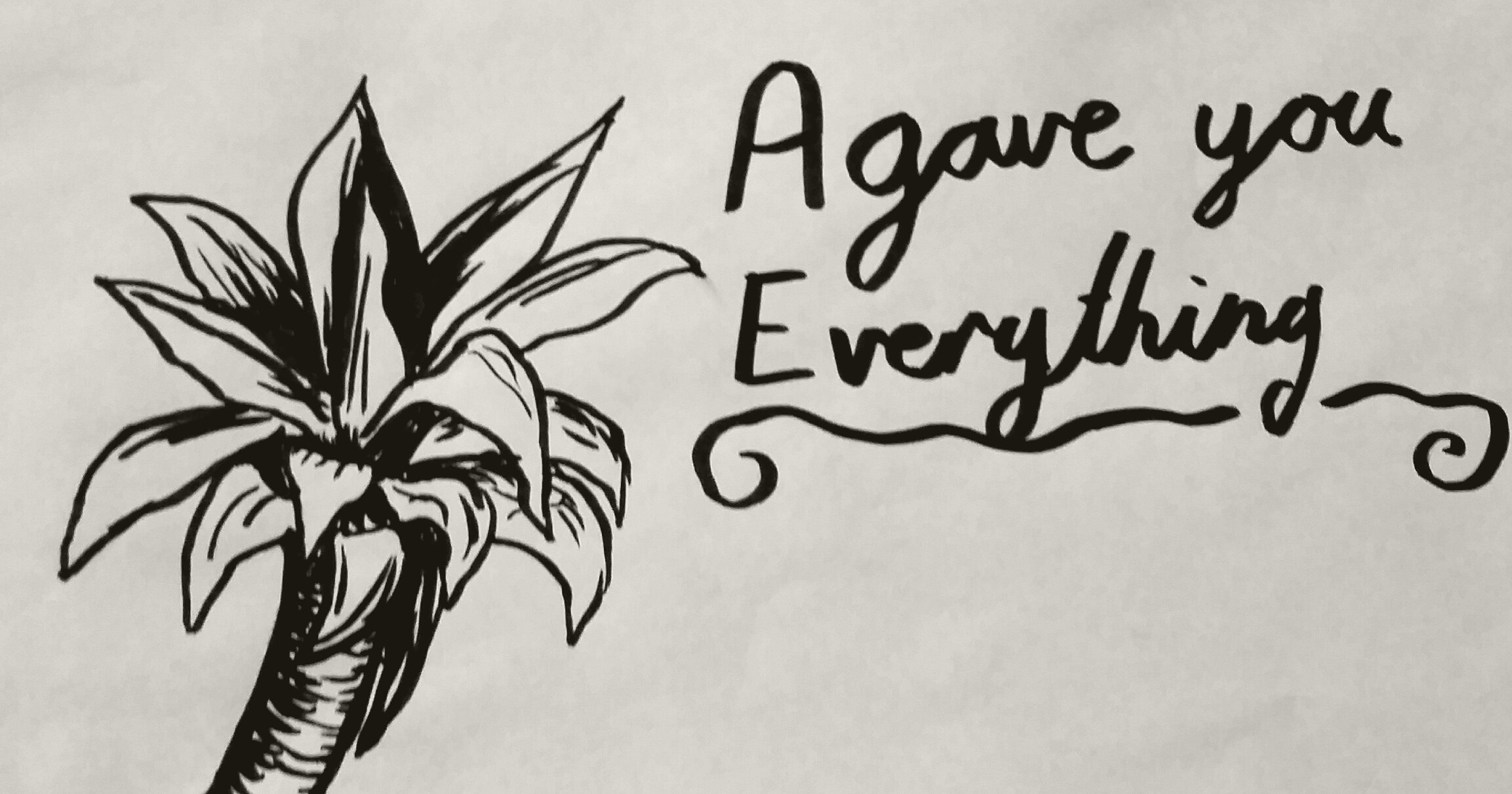 2306x1212 agave plant drawing - Agave Drawing
