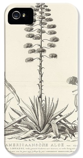 275x525 botanical drawing of blooming agave plant iphone case for sale - Agave Drawing
