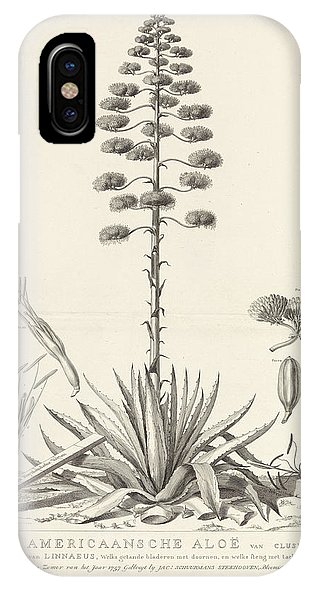 316x592 botanical drawing of blooming agave plant iphone x case for sale - Agave Drawing