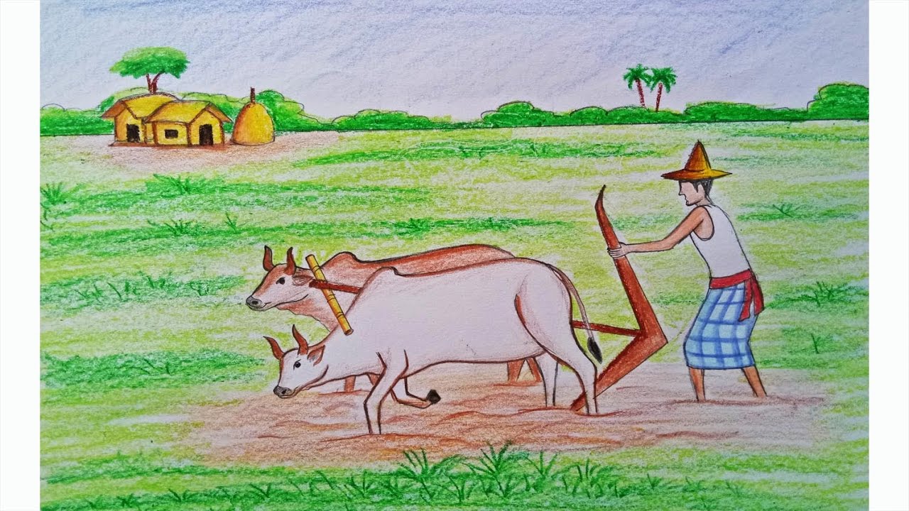 Agriculture Drawing at Explore collection of