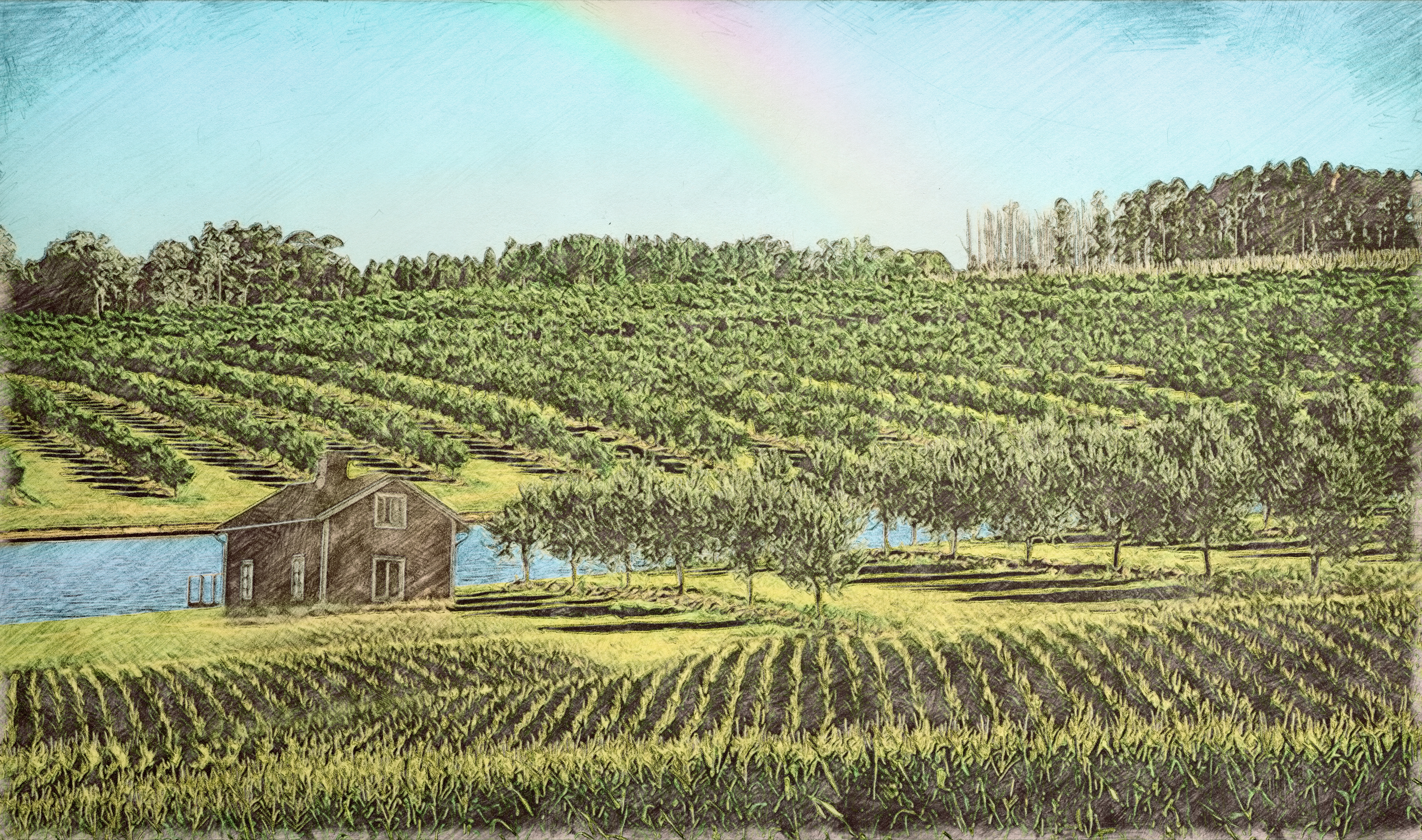 4400x2600 eco agriculture color drawing - Agriculture Drawing