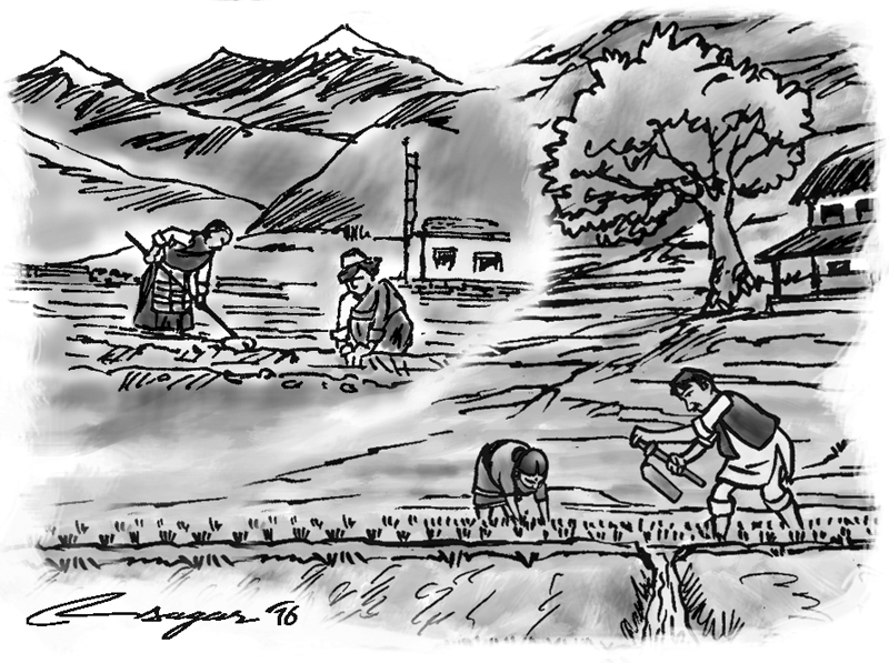 800x597 Farm Drawing Agricultural Land For Free Download - Agriculture Drawing