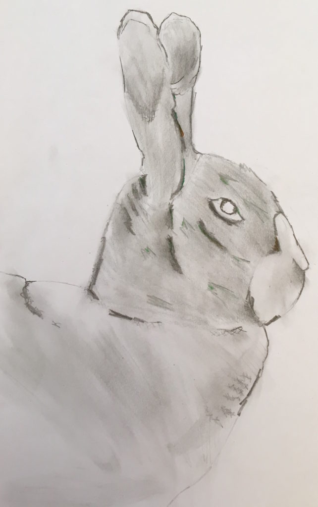 642x1024 Student Art Ginny Speirs - Air Drawing