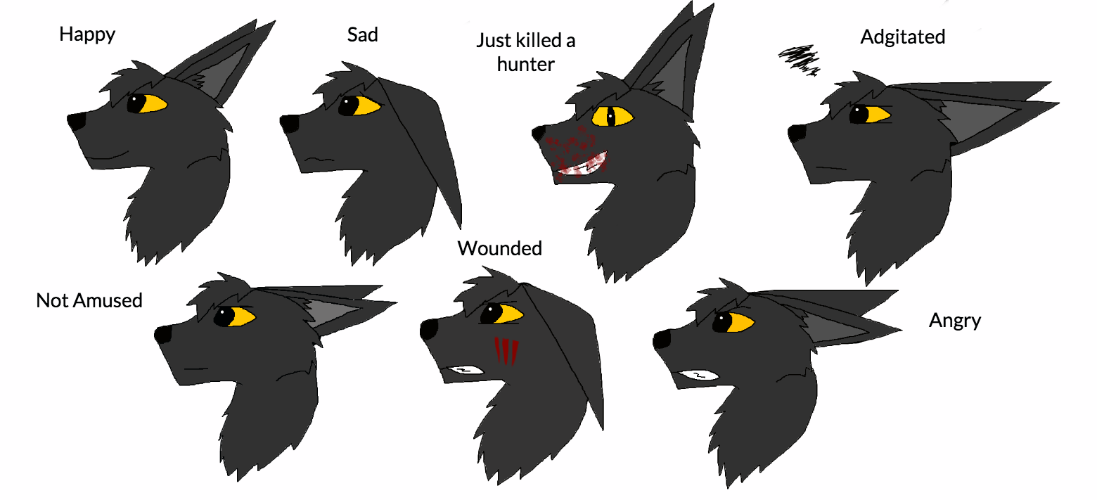1560x711 tailypo's emotions - Aj Drawings