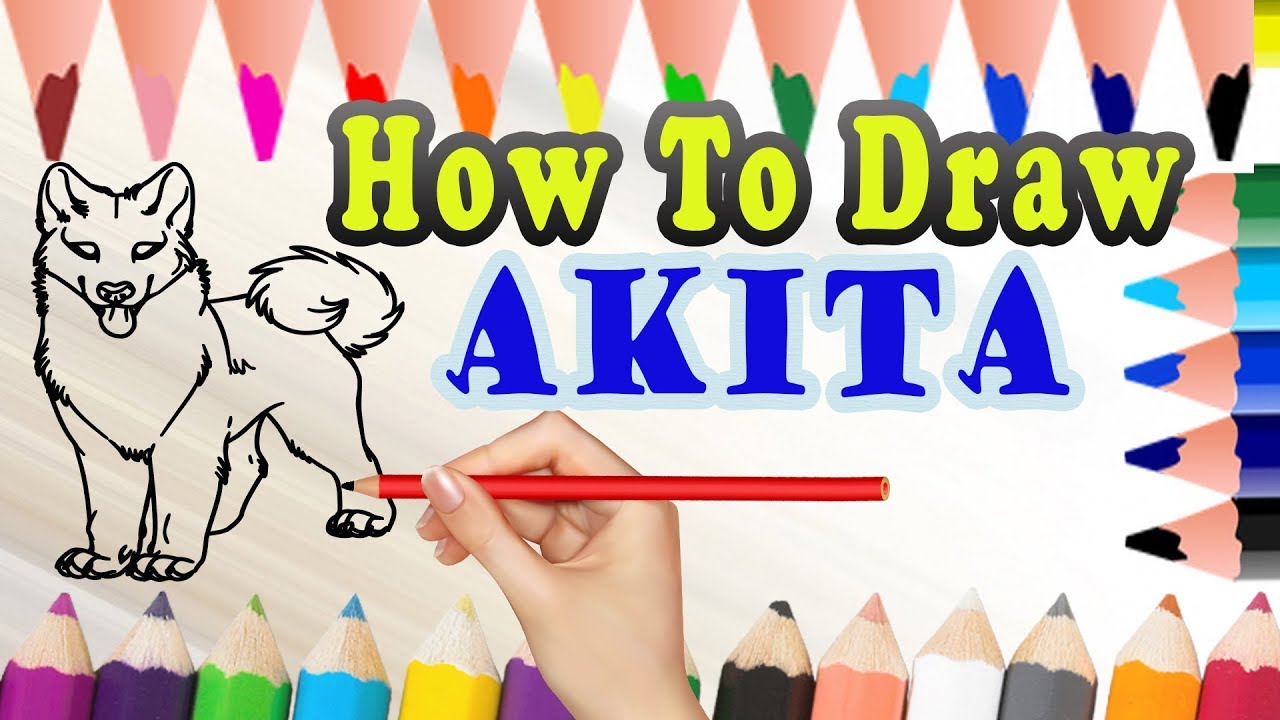 1280x720 Professional Drawing Idea How To Draw A Dog Akita Draw Easy - Akita Drawing