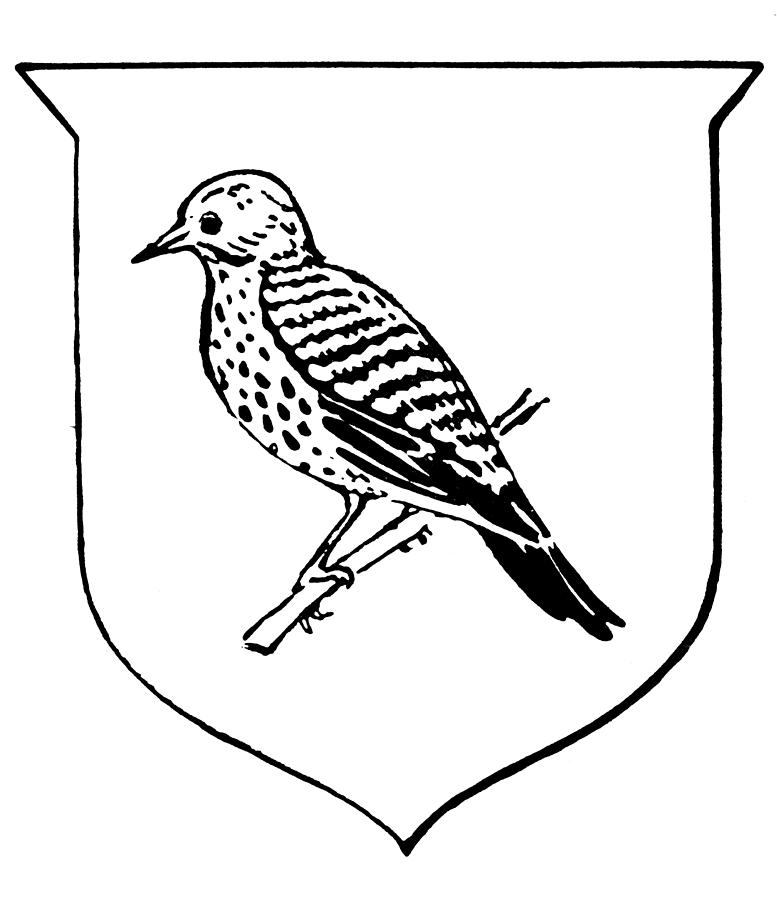 777x900 alabama state bird drawing - Alabama Drawing