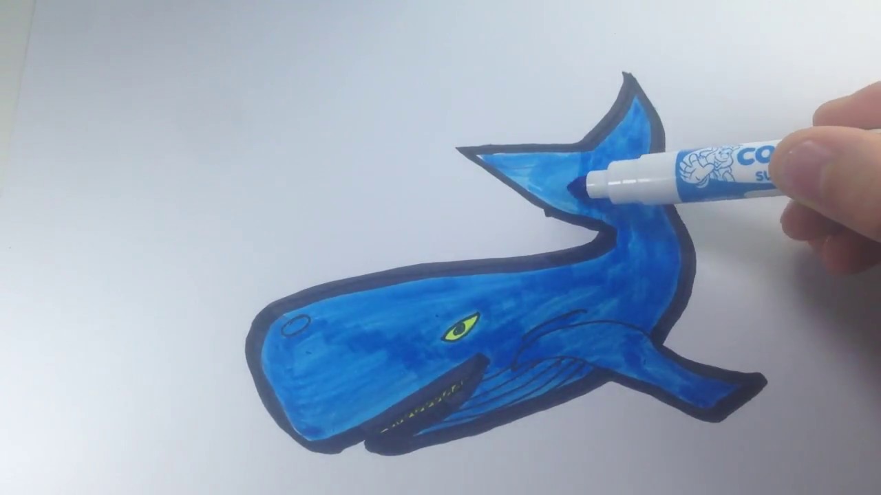 1280x720 whale of alaska drawing - Alaska Drawing