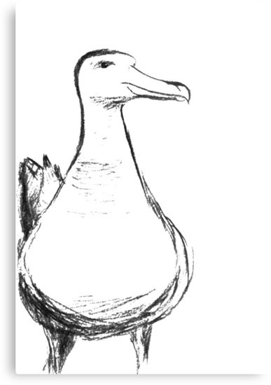 387x550 The Albatross Metal Prints - Albatross Drawing