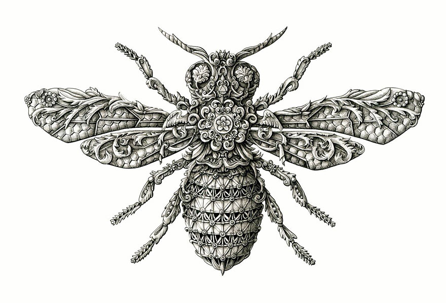 880x597 incredibly intricate renaissance style insect drawings - Alex Drawings