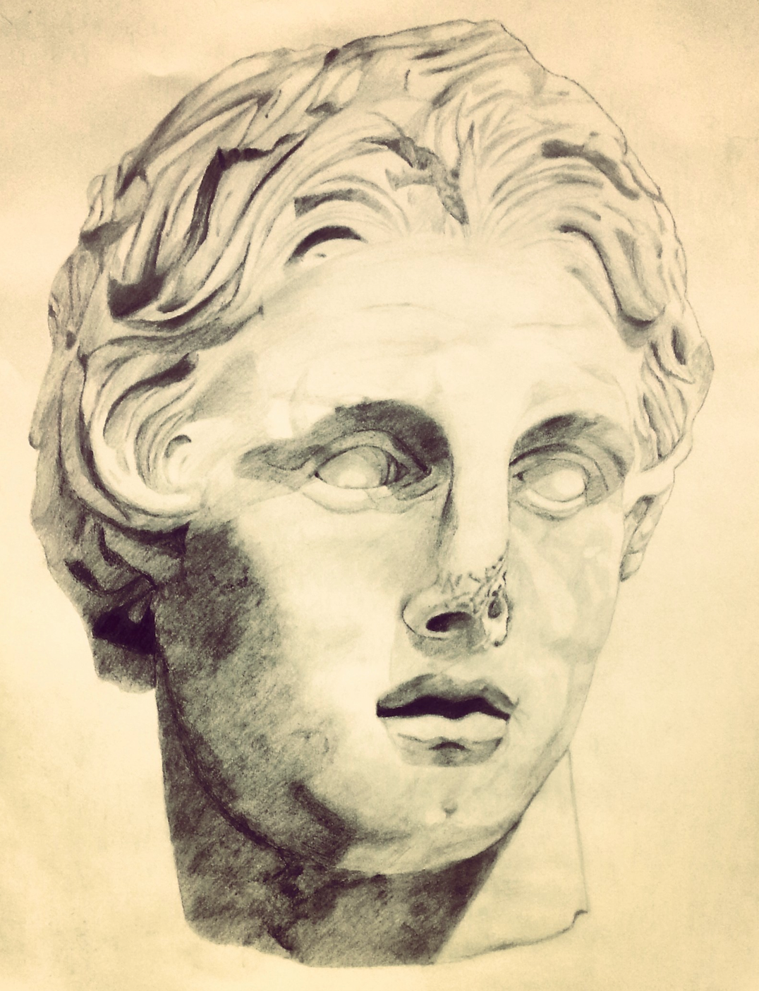 1076x1404 Bust Of Alexander The Great Drawing On Behance - Alexander The Great Drawing