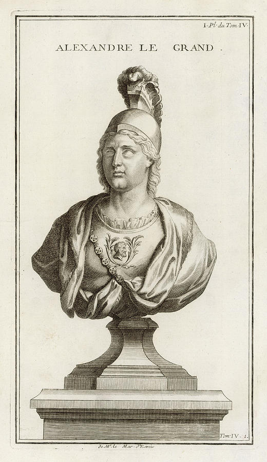 520x900 Alexander The Great Date - Alexander The Great Drawing