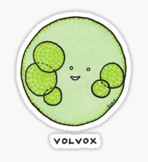 210x230 Algae Drawing Stickers Redbubble - Algae Drawing