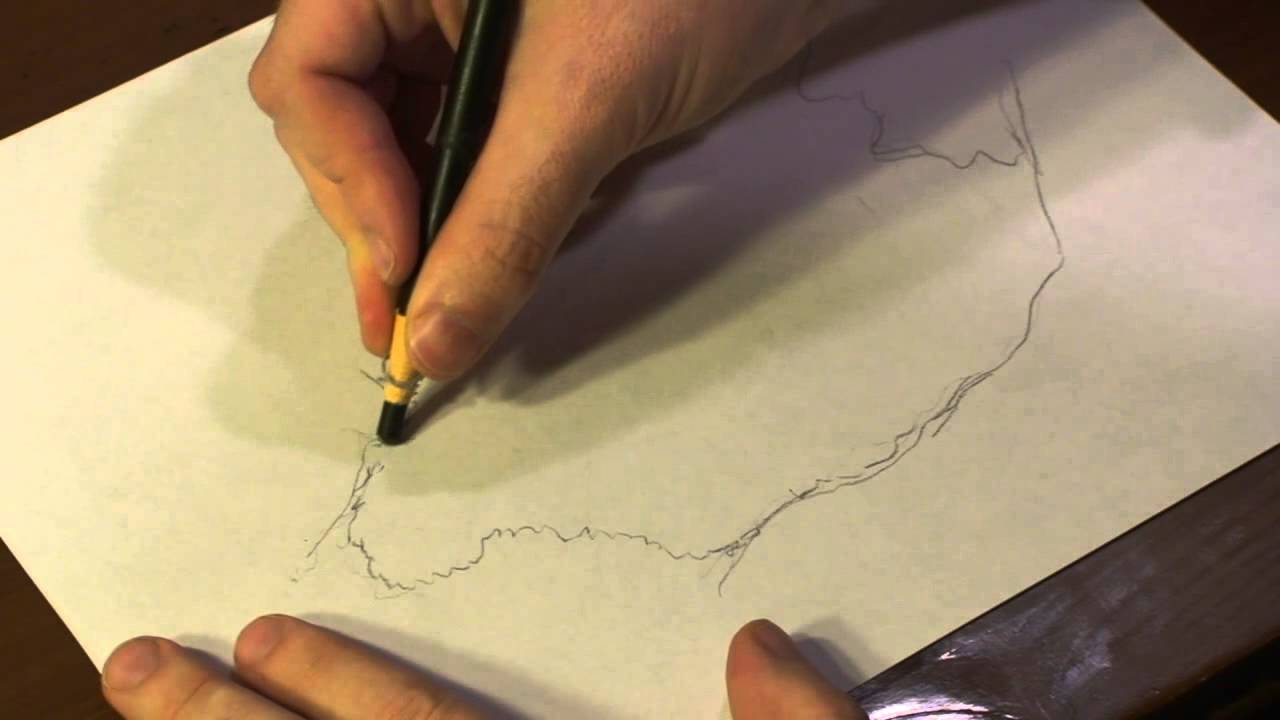 1280x720 How To Draw Pond Algae - Algae Drawing