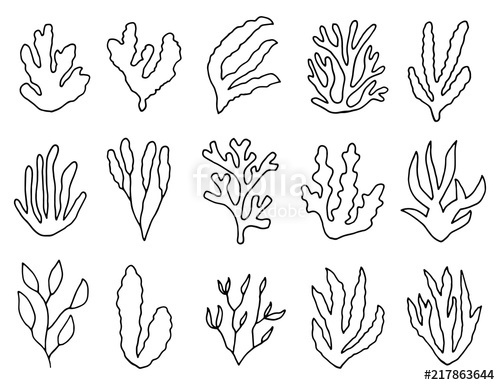 500x385 Algae Outline Isolated Plants Linear Drawing Set Of Objects - Algae Drawing