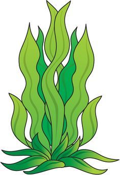 236x344 Cartoon Algae - Algae Drawing