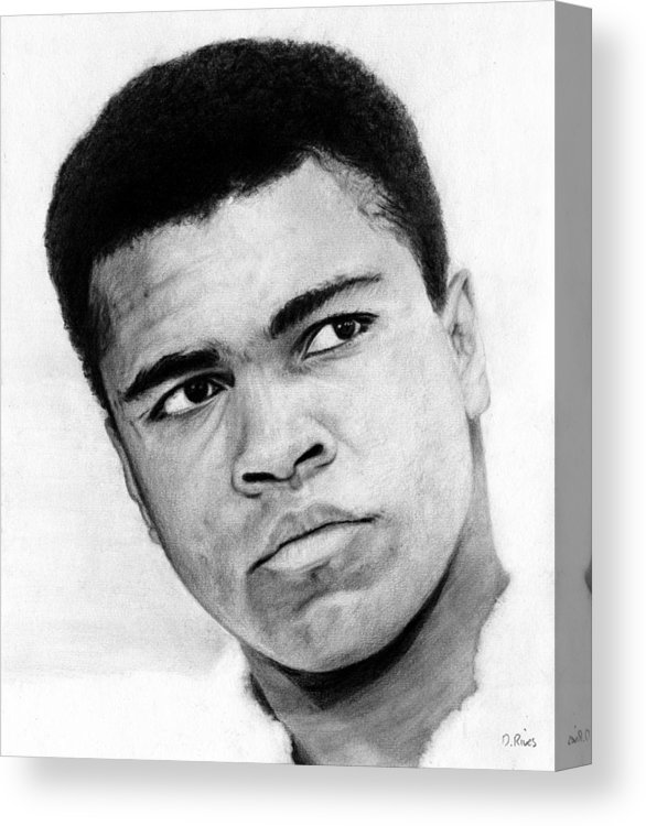 586x750 muhammad ali pencil drawing canvas print canvas art - Ali Drawing