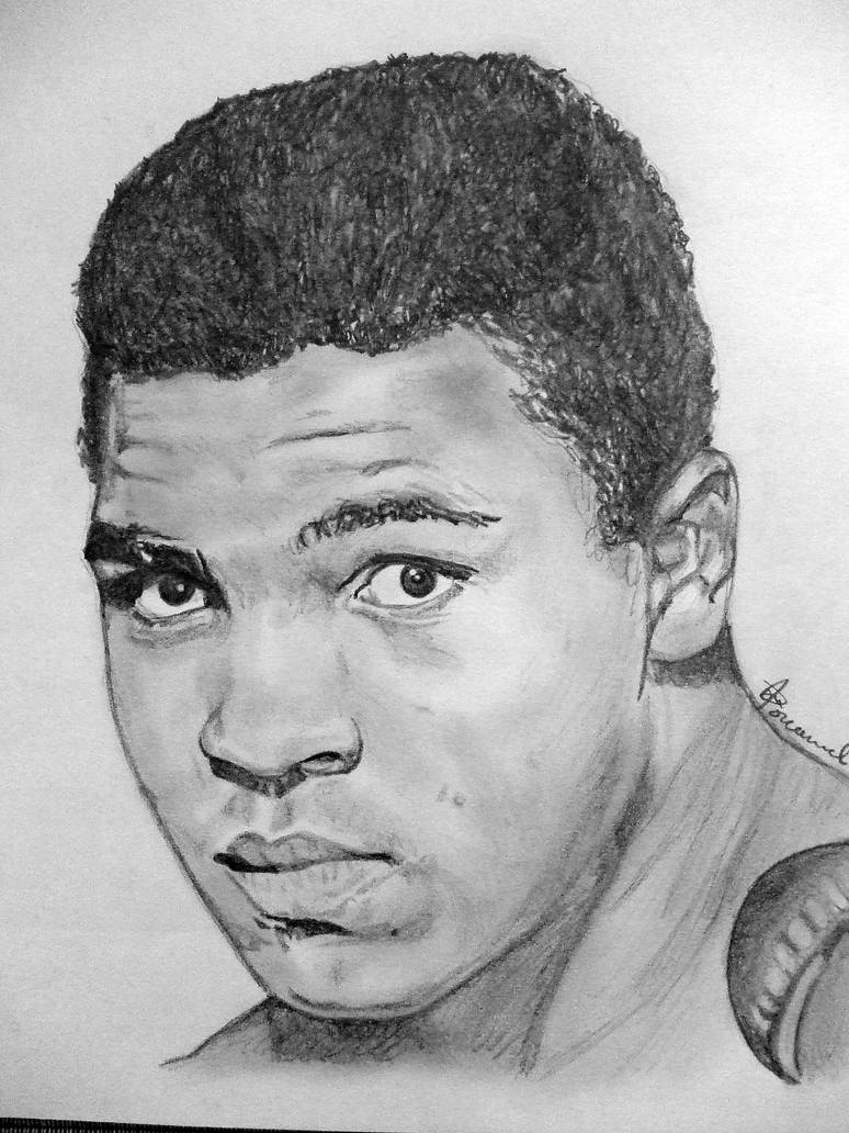 774x1032 muhammad ali drawing - Ali Drawing