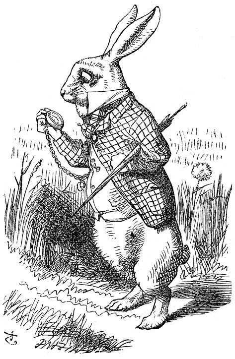 473x724 Sir John Tenniel's Classic Illustrations Of Alice's Adventures - Alice In The Wonderland Drawings