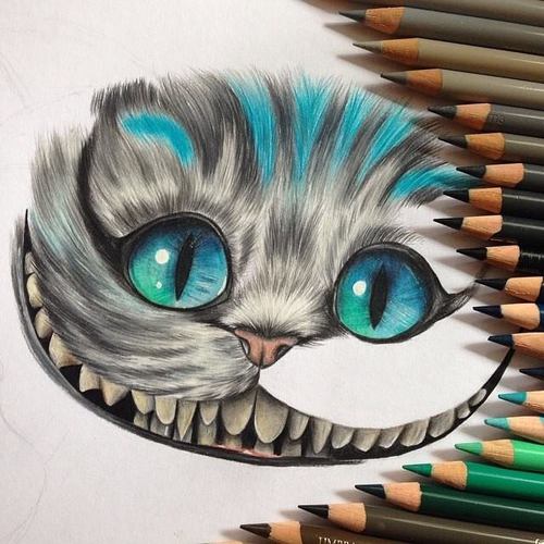 500x500 Image In Art Collection - Alice In Wonderland Cat Drawing
